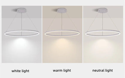 Nordic  Single Ring Led Chandelier  Dimmable Lamp Fixture