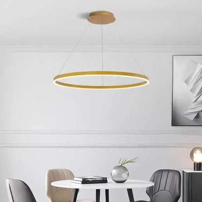 Nordic  Single Ring Led Chandelier  Dimmable Lamp Fixture