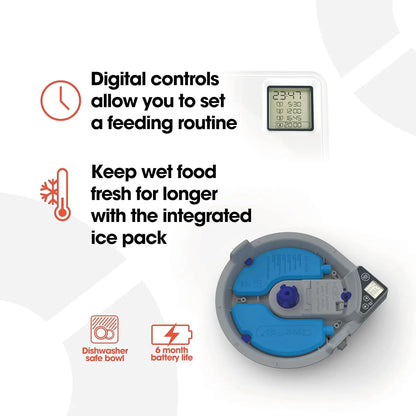 Digital automatic pet feeder with ice packs