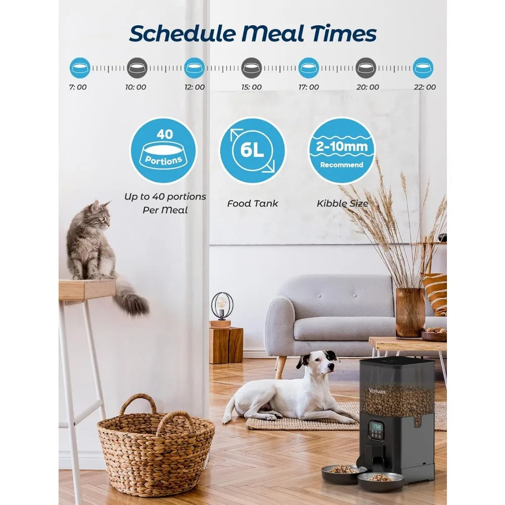 Automatic timed double cat feeder with 2 bowls